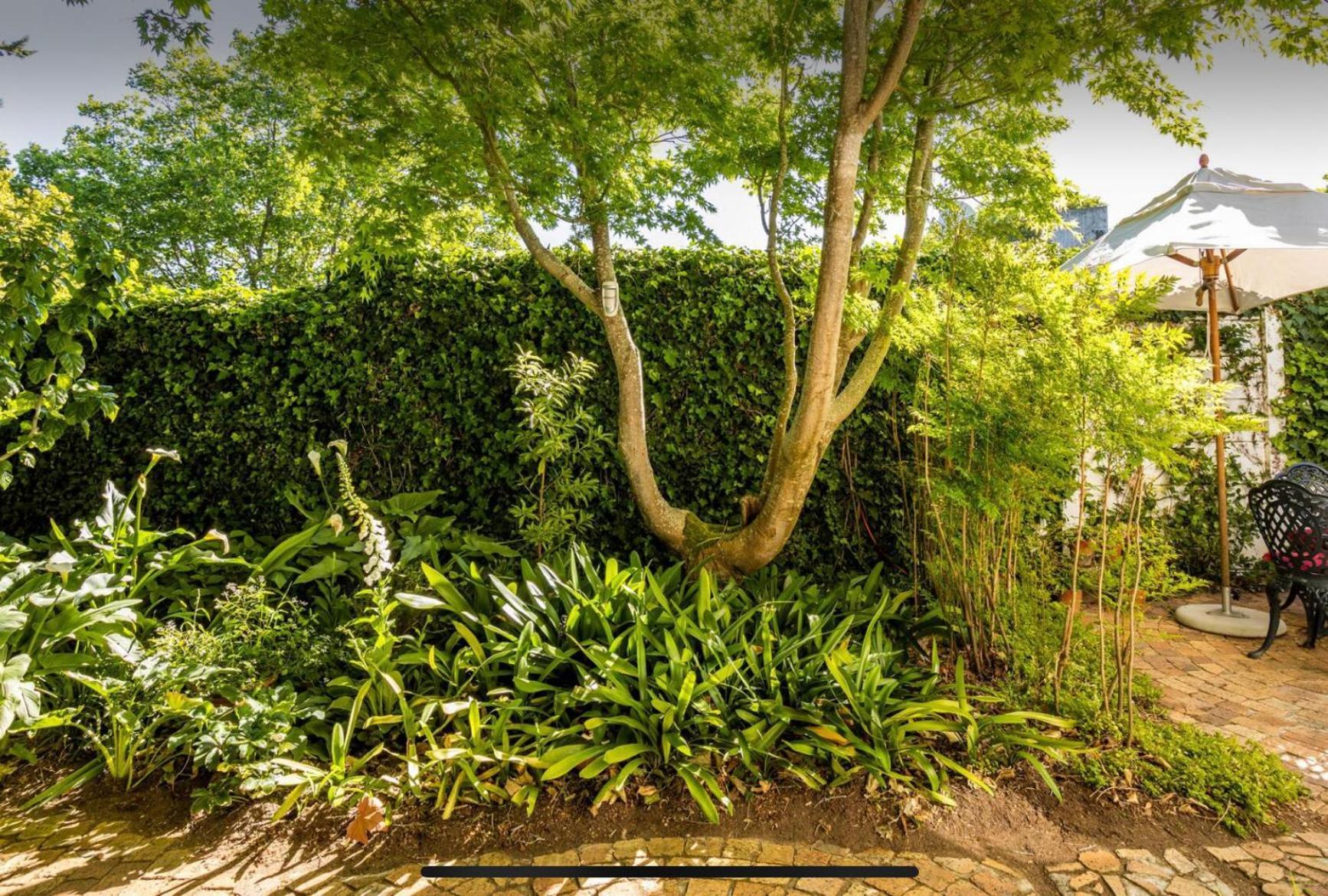 Guest Suite - Leafy Constantia Guest House Cape Town Eksteriør bilde
